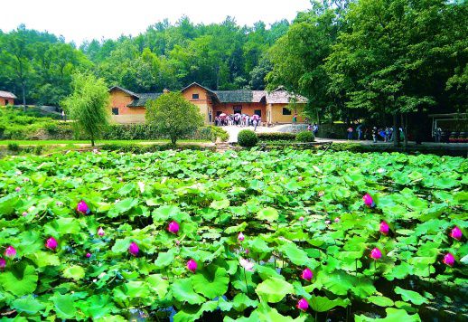 毛澤東：讓兒女們回到人民中去